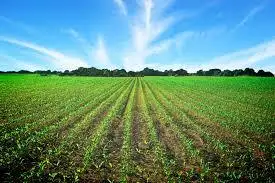 El agro del futuro