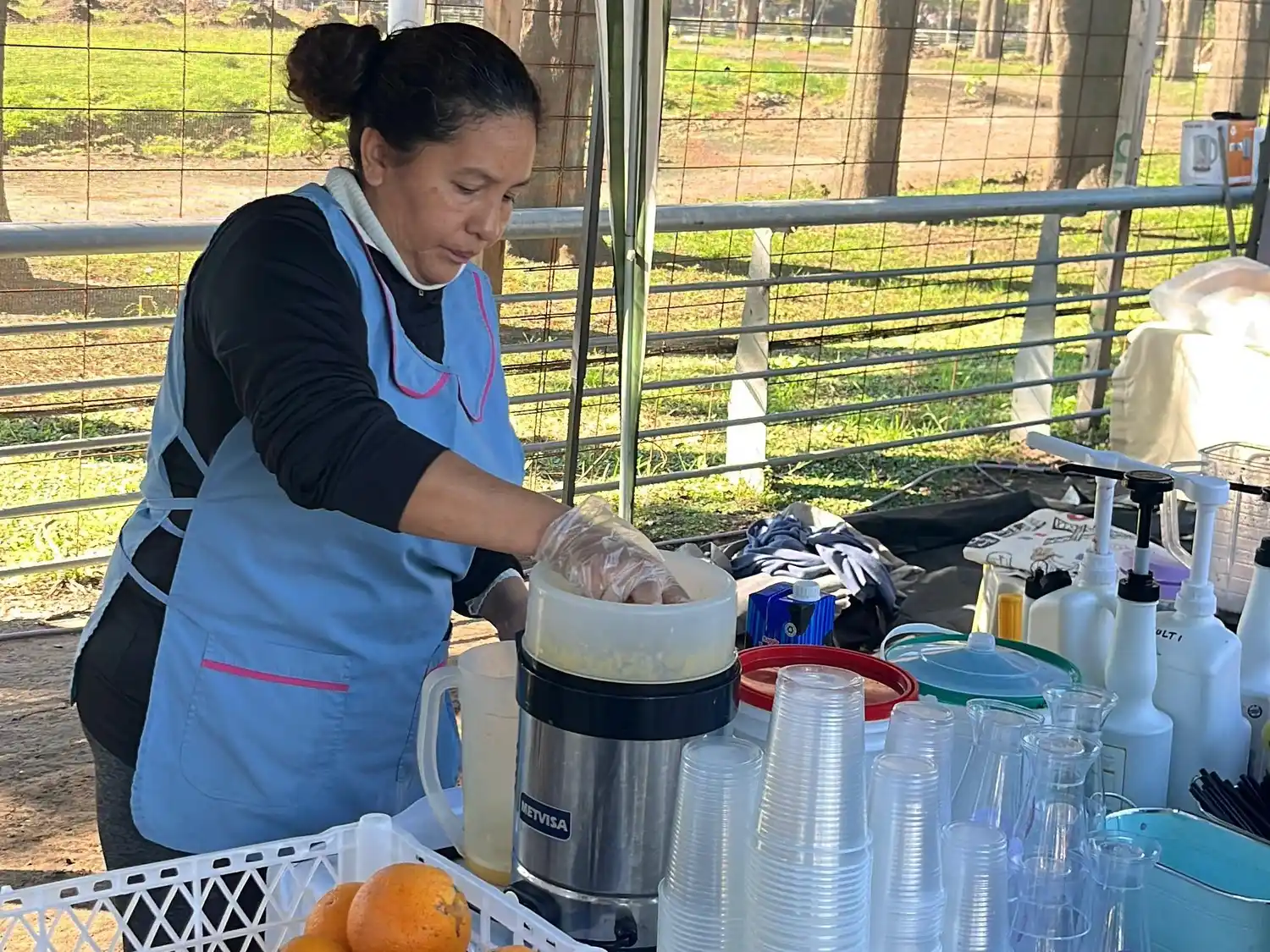 Venite al Parque - 3