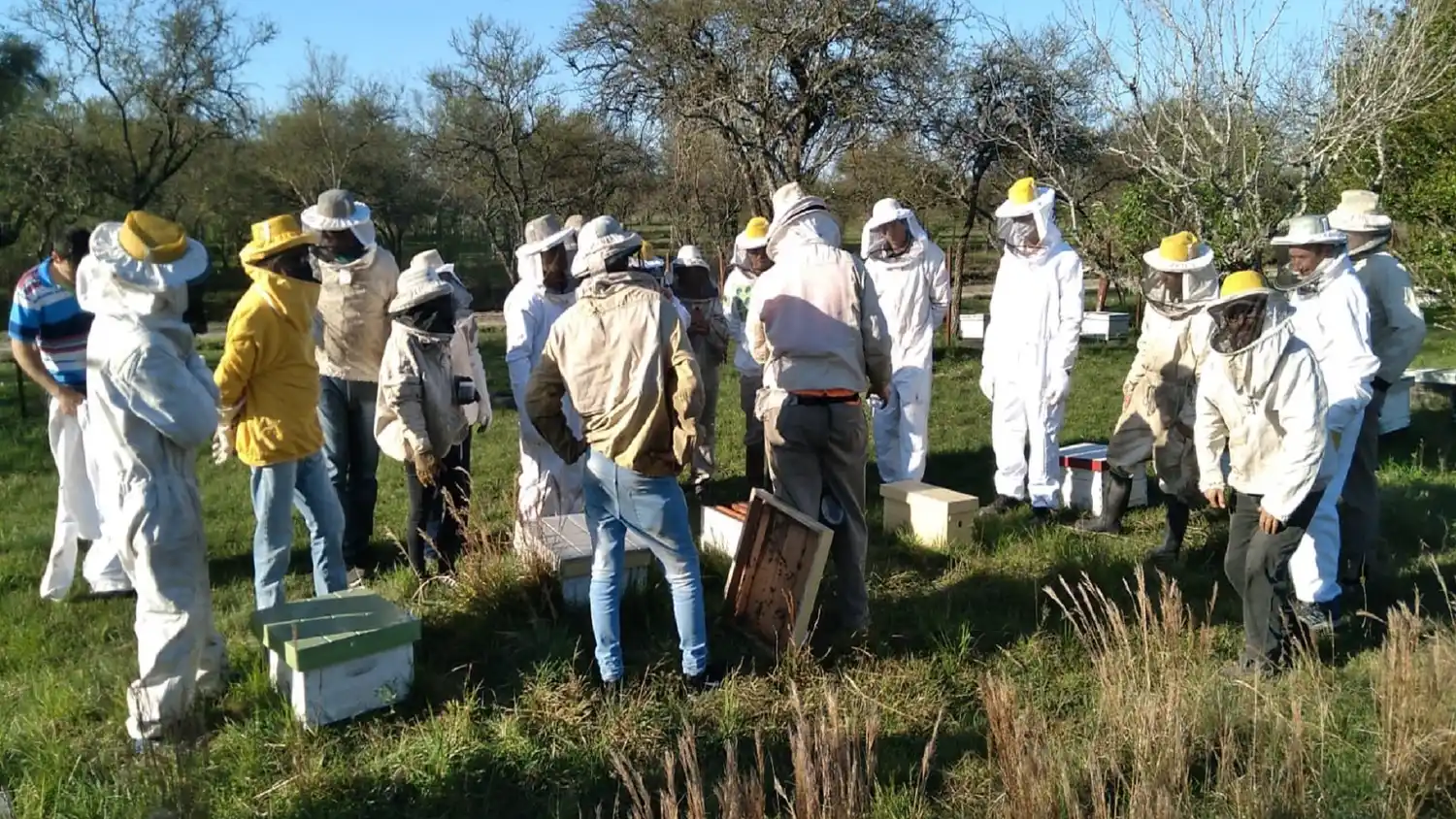 Aprobaron un crédito internacional para fortalecer la cadena apícola entrerriana