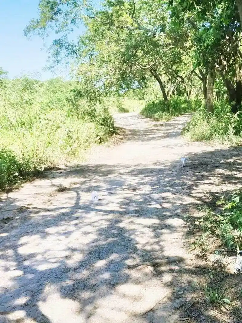 Colisión entre dos motocicletas 
dejó como saldo una víctima fatal