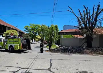 Susto en Bernardino Rivadavia: los Bomberos tuvieron que asistir en el incendio de una gran pila de ramas
