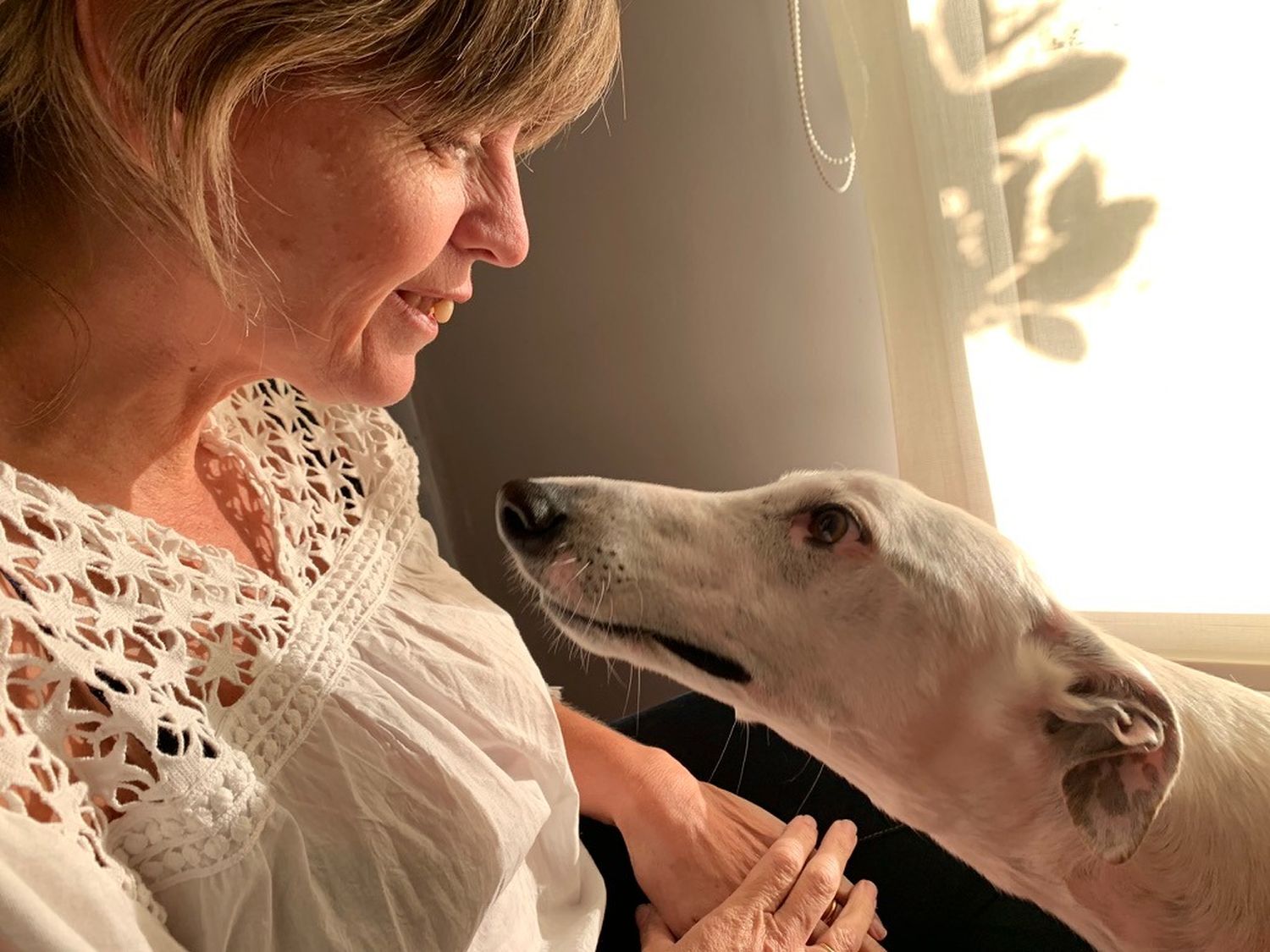 “Cuando los perros nos miran a los ojos liberamos oxitocina, la hormona del apego”