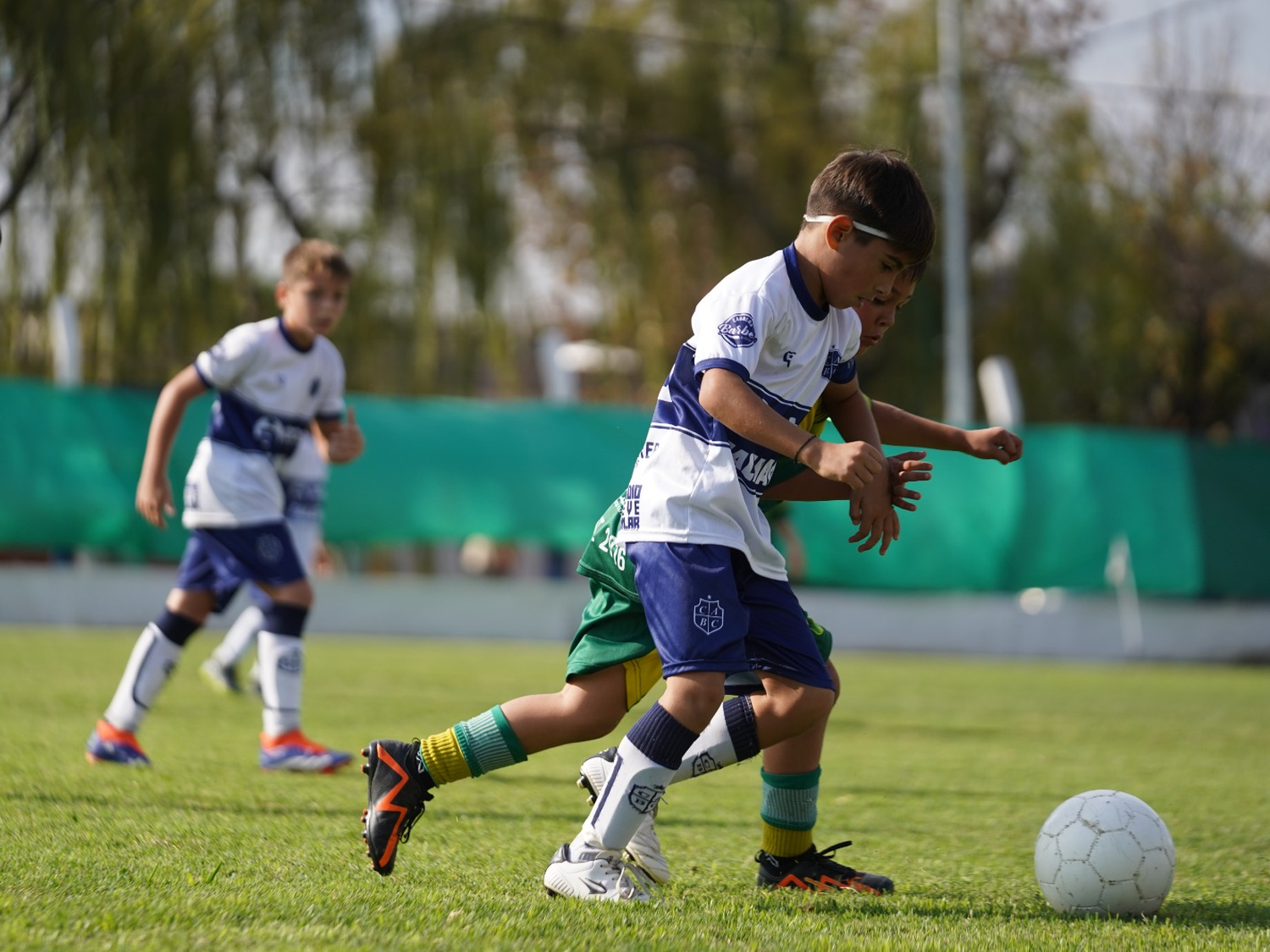 Se juega la fecha 16 del Apertura