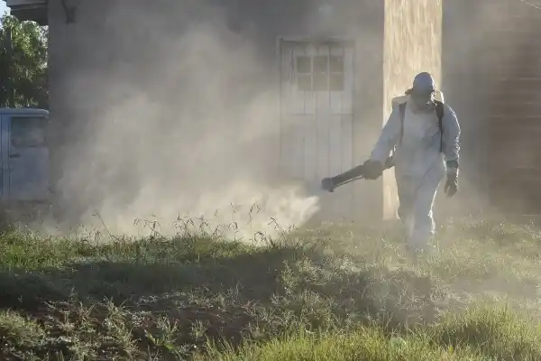 Operativo especial en Chascomús ante un caso sospechoso de dengue