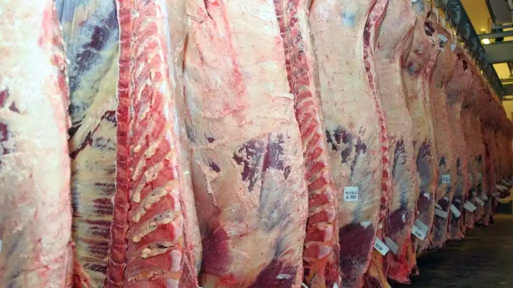 El Gobierno anunció que también eliminará retenciones de carnes avícolas y bovinas hasta el 31 de octubre