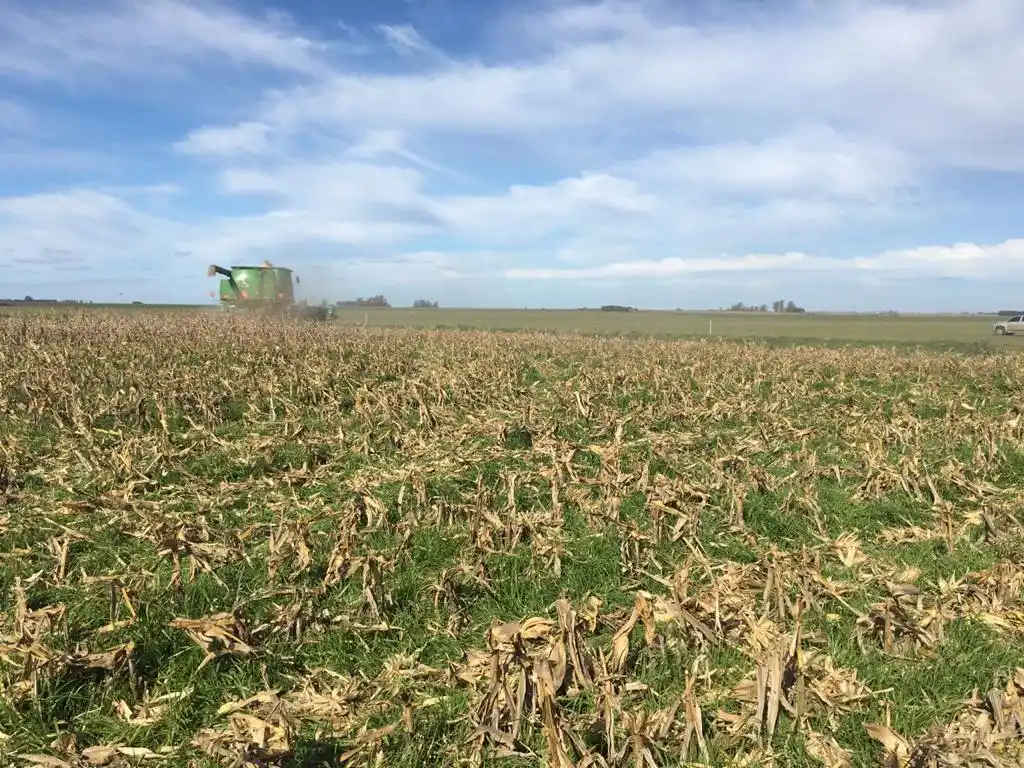 El campo define el mejor nivel entre las industrias