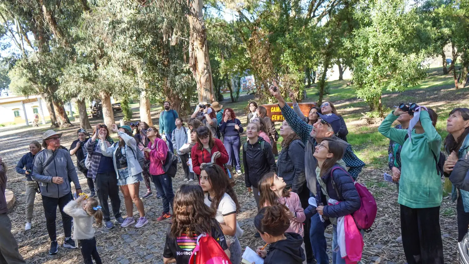 coa necochea club observadores de aves - 2