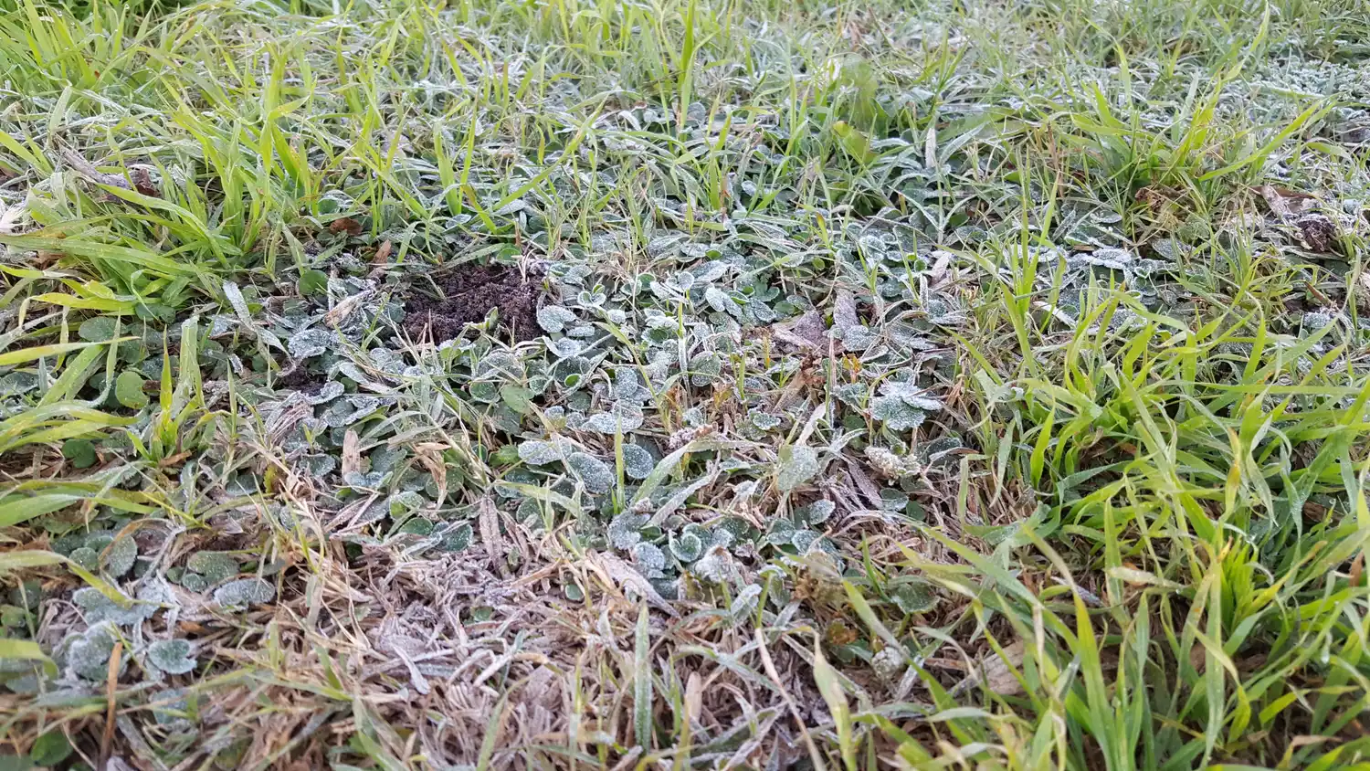 Entre Ríos vive hoy la jornada más fría en lo que va de este 2019