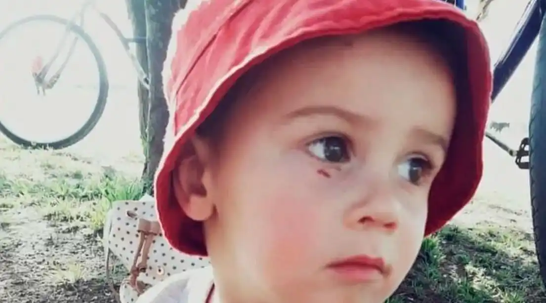 Una perito analizó los dibujos de Lucio Dupuy antes que lo mataran y dio detalles reveladores