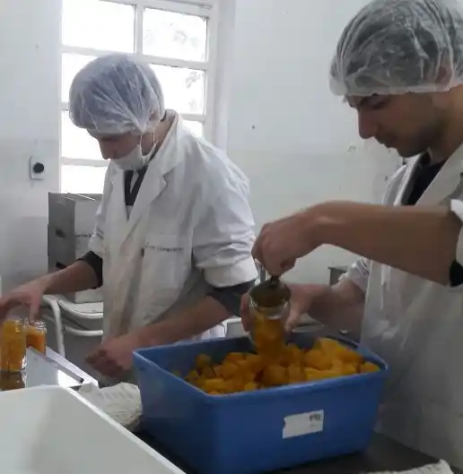 Instituto Agrotecnológico  Tandil, una oferta joven con  éxito en la salida laboral