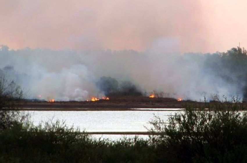 Exigen a Entre Ríos la sanción urgente de una ley que prohíba la quema de pastizales en las islas