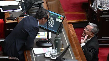 En medio de la sesión por “Ficha Limpia”, el diputado Germán Martínez invitó a pelear a Martín Menem
