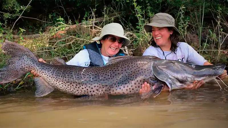 Se presentó la XXV Fiesta Provincial del Surubí Entrerriano