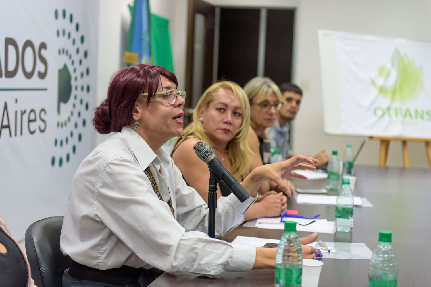 Primer encuentro de organizaciones Trans y Travestis de la Provincia en la Legislatura