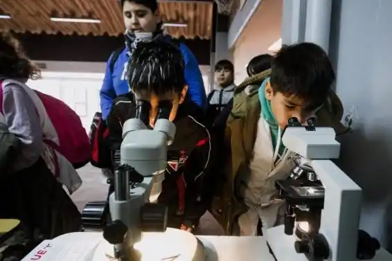 Más de 700 alumnos de General Pueyrredon se capacitaron este año en el Programa Prevenir