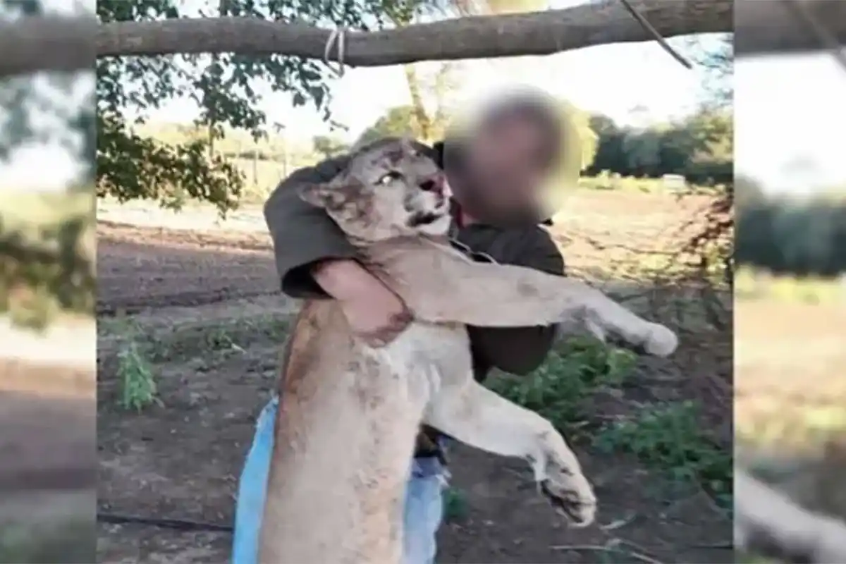 Posó con un puma muerto