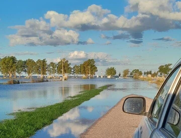 Desesperante situación de los campos de la zona de Bahía Blanca