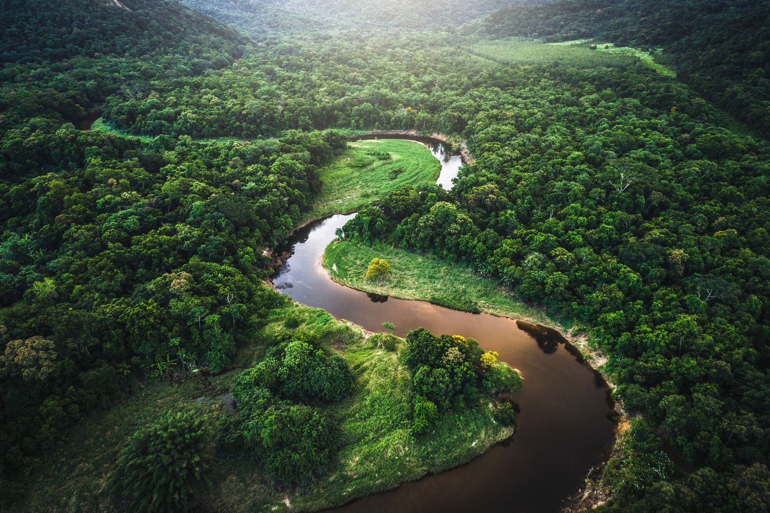 Latinoamérica tiene a la más importantes del mundo: la Reserva de la Biosfera de la Amazonía.