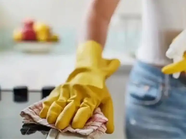 ama de casa
