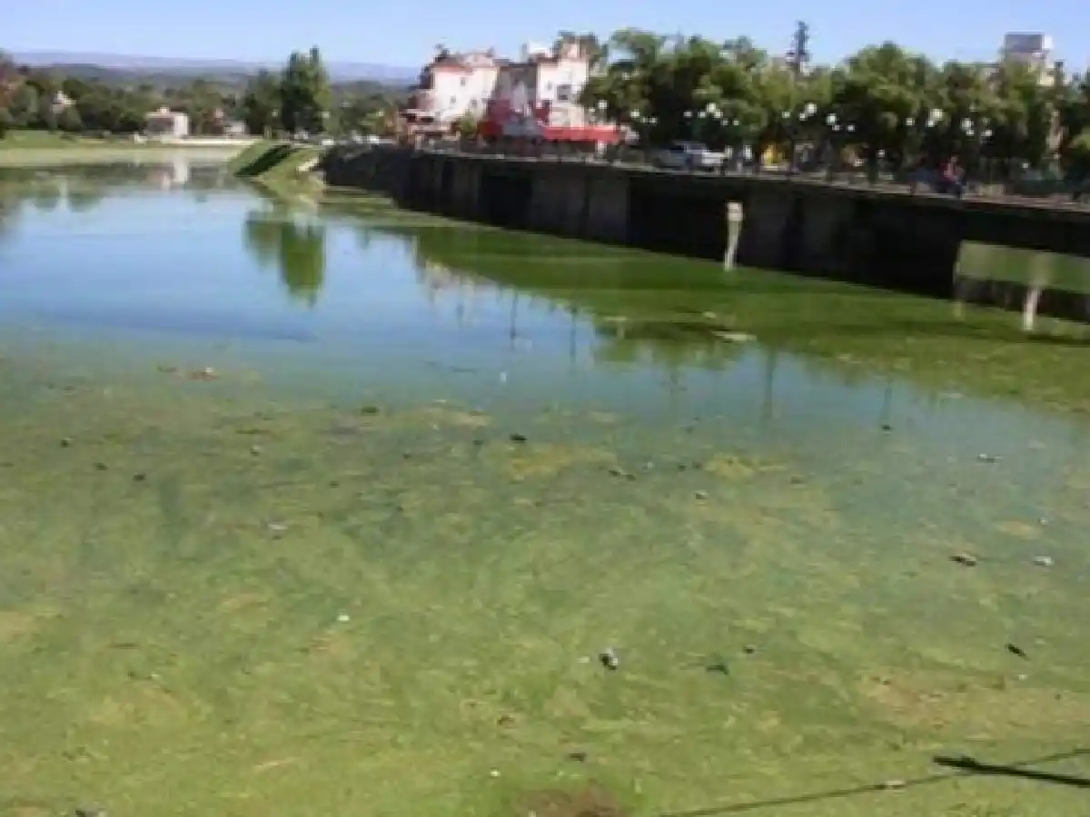Carlos Paz: clausuraron una confitería céntrica por volcar líquidos cloacales al Lago