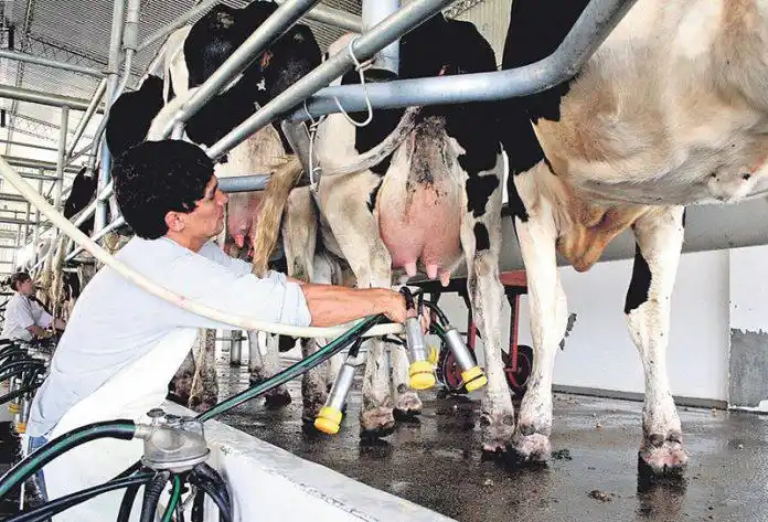 Advierten por la concentración del mercado lechero en Entre Ríos