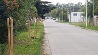 El Municipio avanza con la plantación de árboles en Villa Aguirre