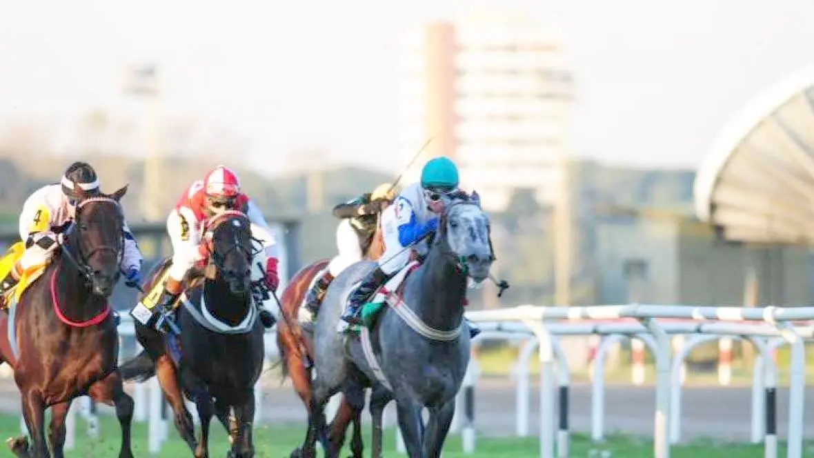 Miércoles 5: Actividad en el Hipódromo de San Isidro
