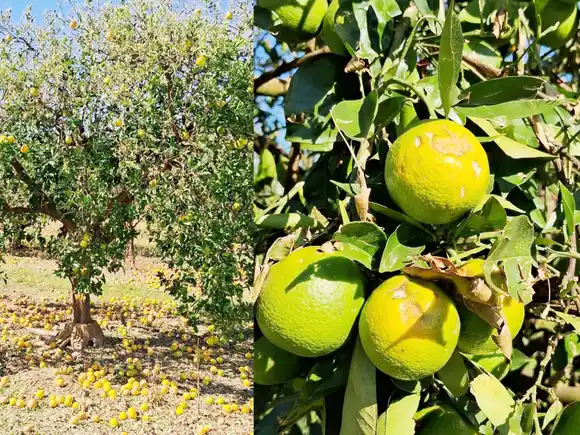 La Provincia trabaja para asistir a productores afectados por el granizo