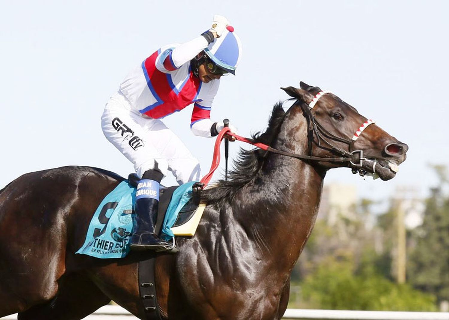 Domingo 25: Actividad Hipódromo de San Isidro