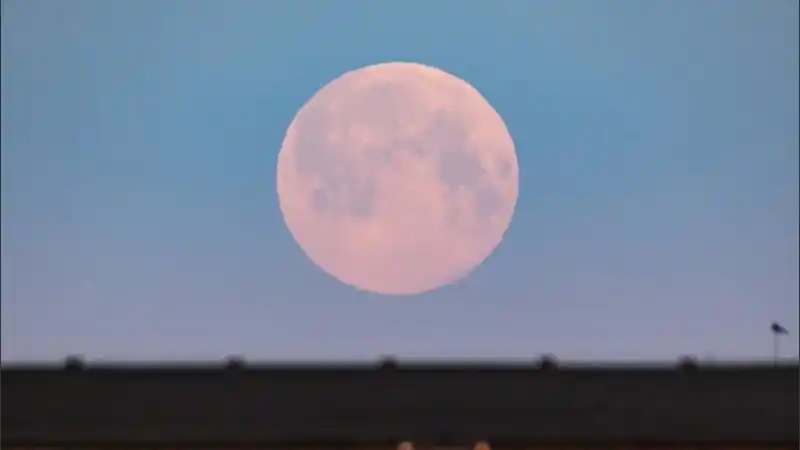 Esta noche se podrá ver la primera super luna rosa del año