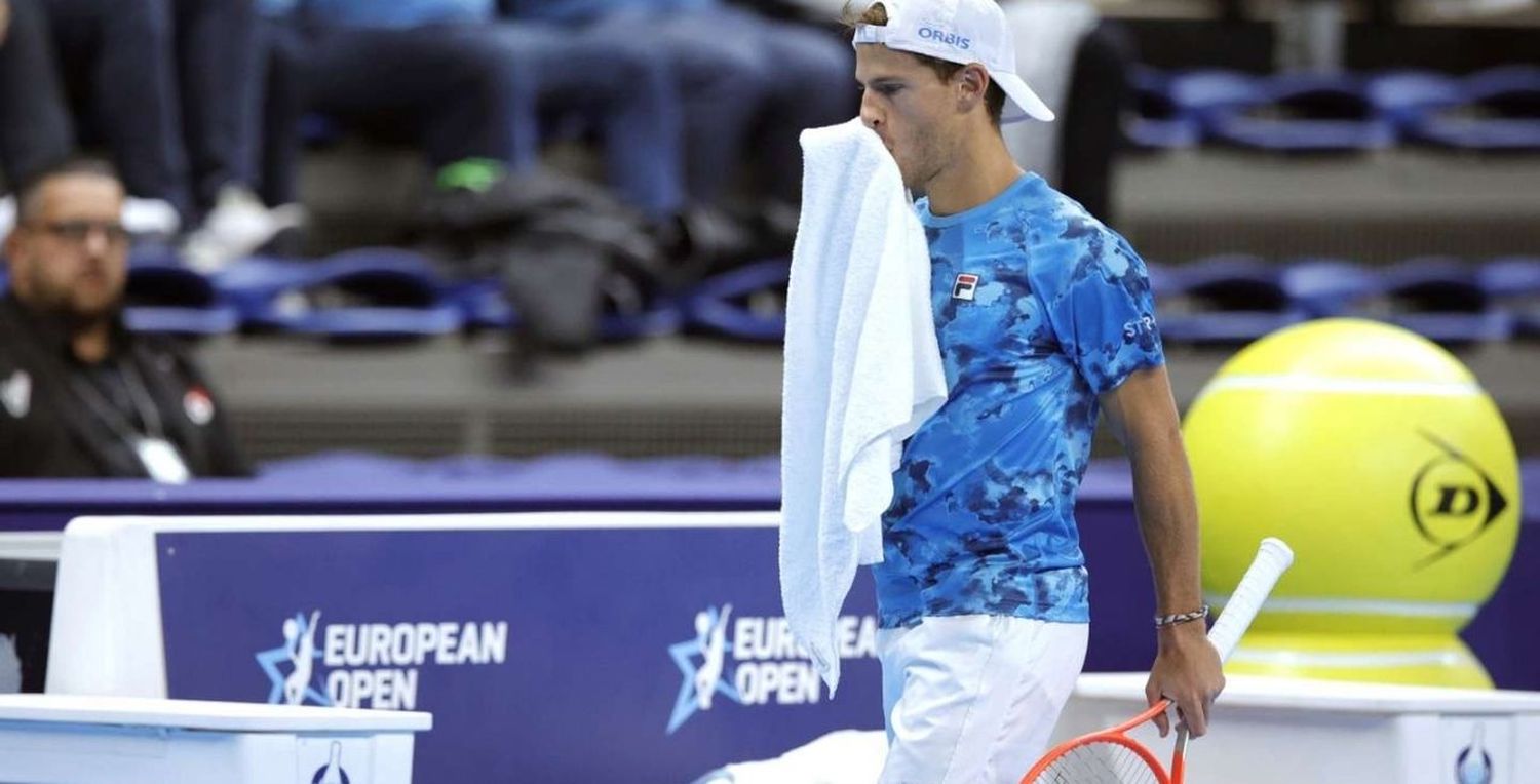 Dura derrota de Diego Schwartzman en la final del ATP de Amberes