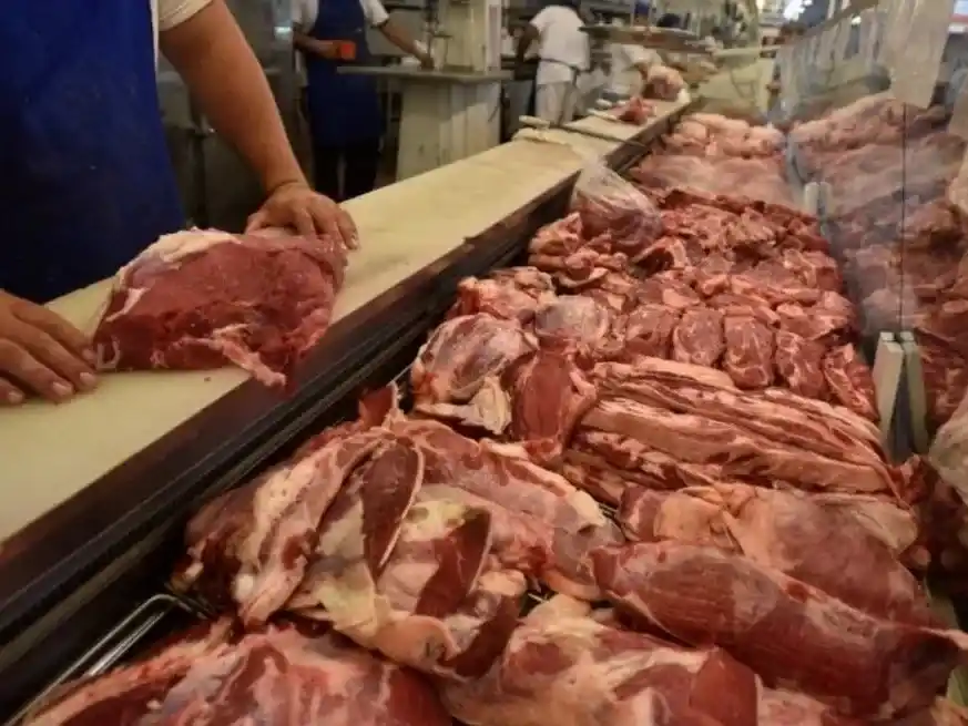 La carne pagaba una alícuota del 5% antes de la medida.