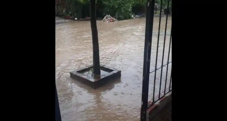 Temporal: la tormenta ocasionó daños en todos los barrios