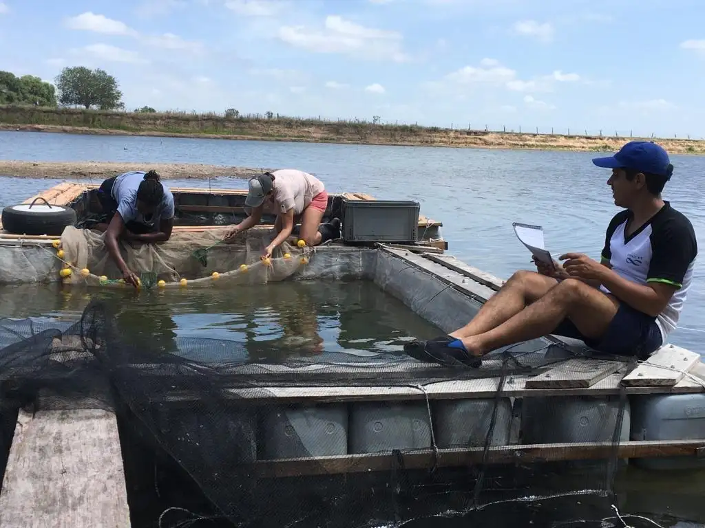 pesca