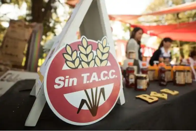 SIN TACC - 2