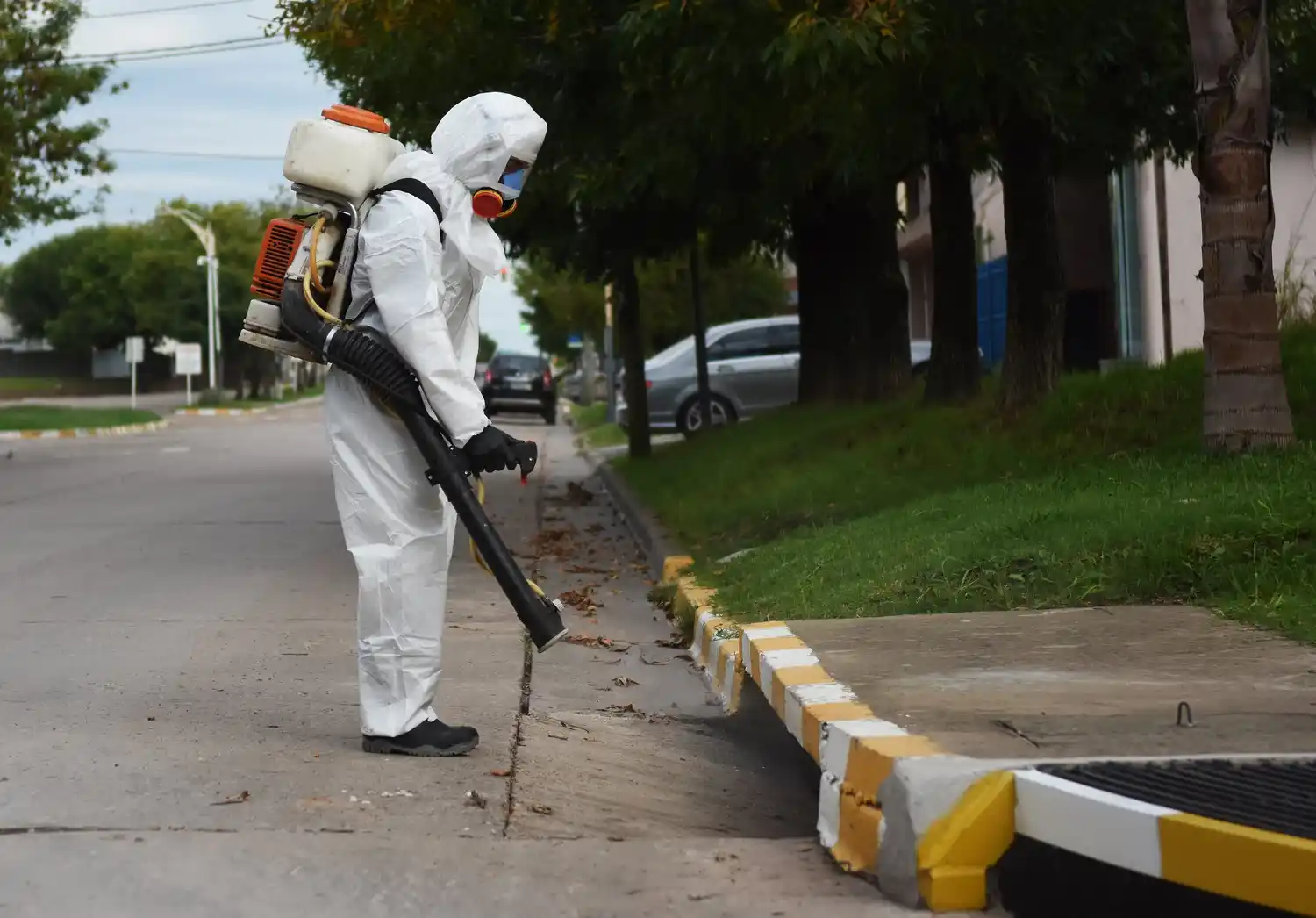 Proyectan fumigaciones localizadas para cucarachas y para eliminar larvas de mosquitos