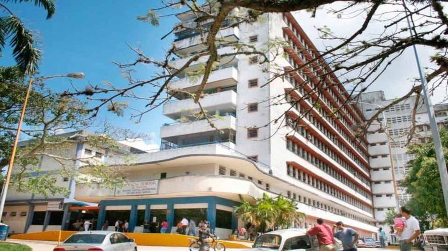 ESPERANDO SUERO ANTIOFÍDICO falleció un niño de siete años tras ser mordido por una culebra en Táchira
