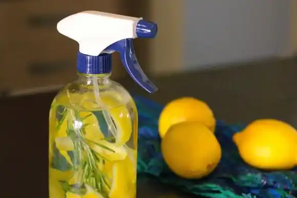 Mostró el tip definitivo para hacer un aromatizante barato para la casa y se volvió viral