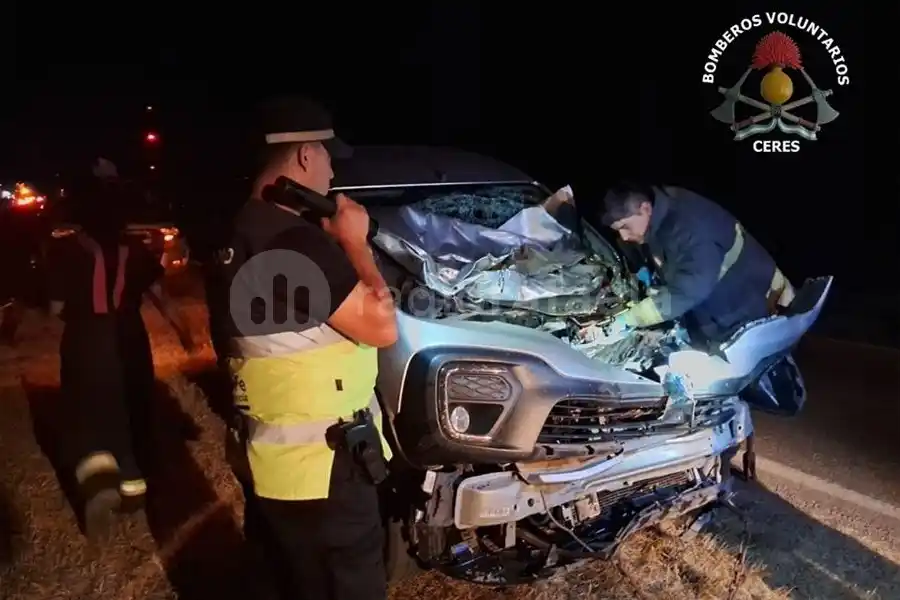 Cuatro personas heridas tras chocar de lleno con animales sueltos en Ruta Nacional 34