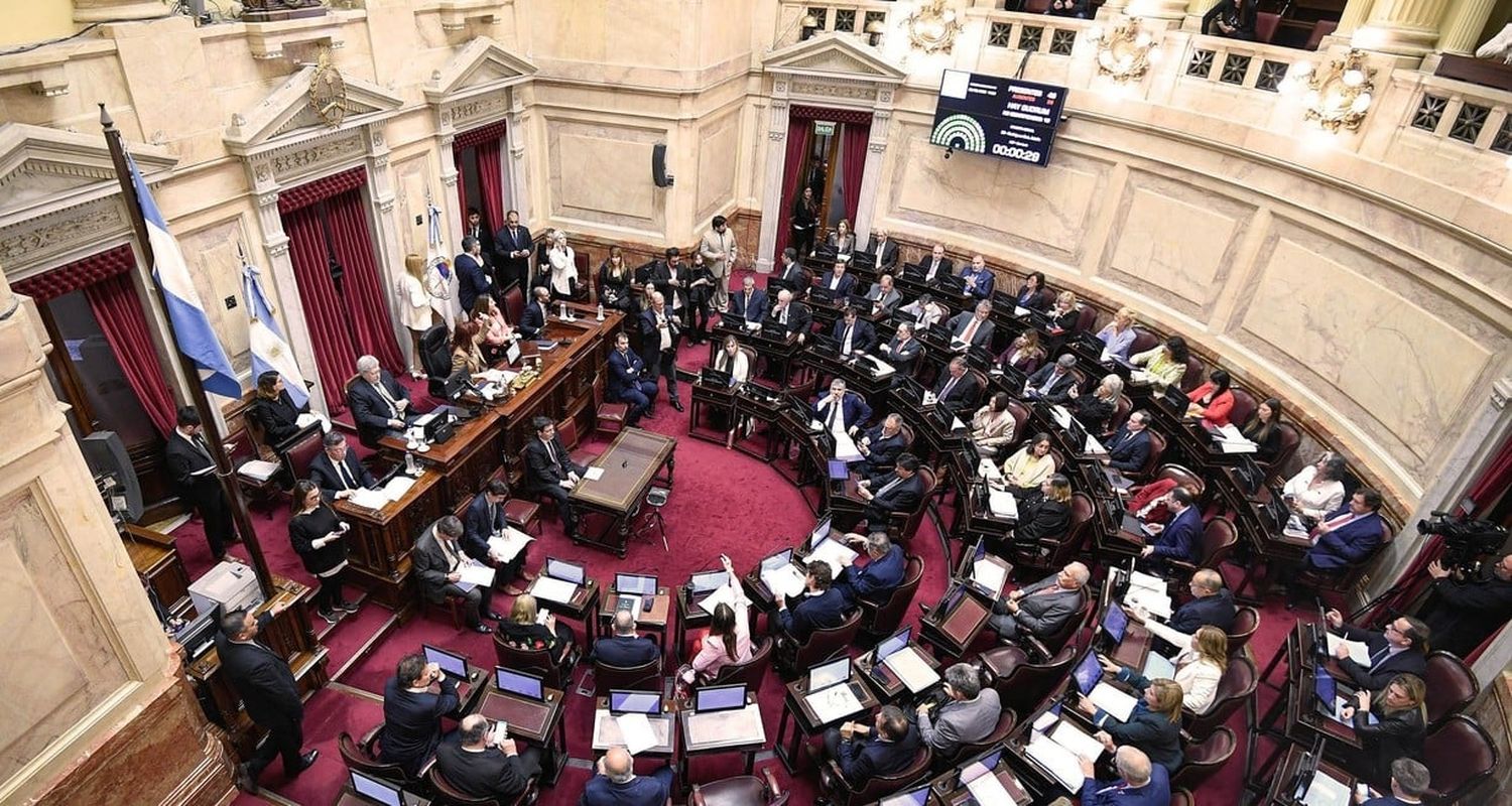 Sesión pública especial del Senado de la Nación. Crédito: NA