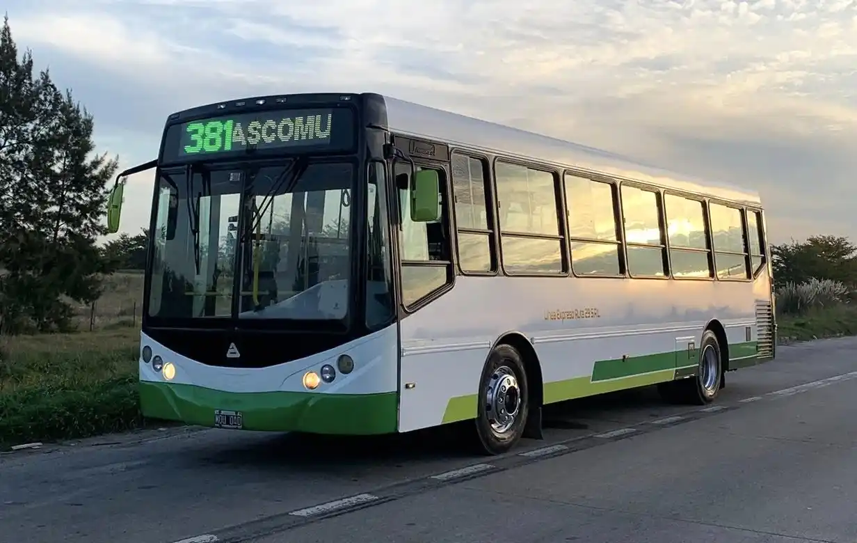 La Línea 381 celebra un nuevo aniversario y suma una nueva unidad para conectar Ranchos y Chascomús