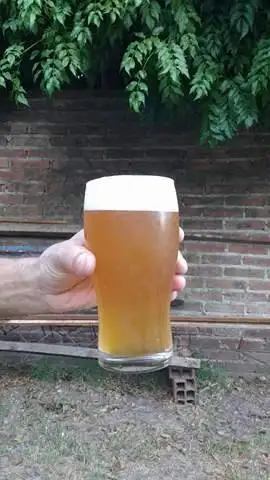 Se viene el Festival de la Cerveza Artesanal IPAraná