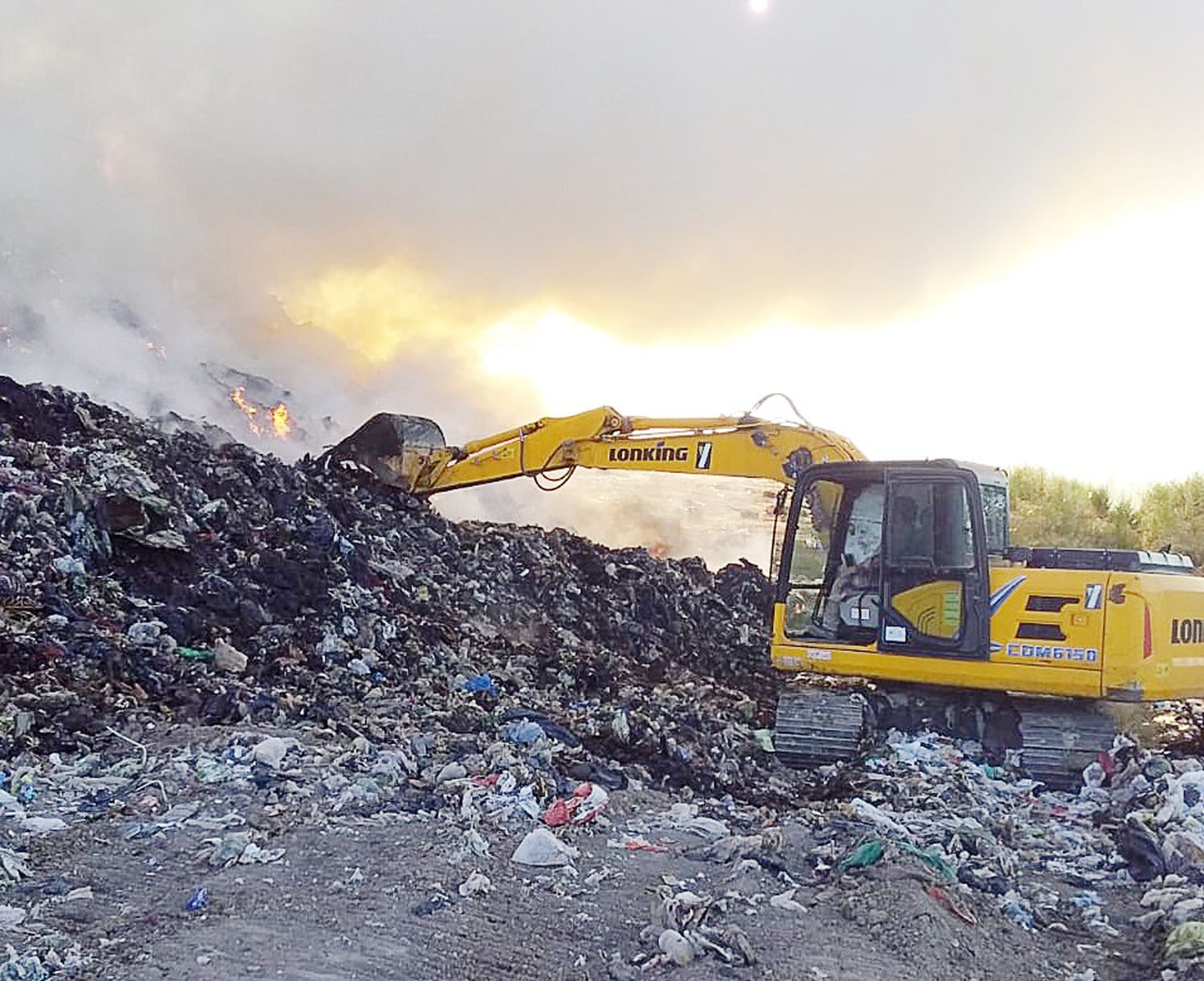 Ecoparque: La medida que tomó el Municipio tras el fallo judicial en contra