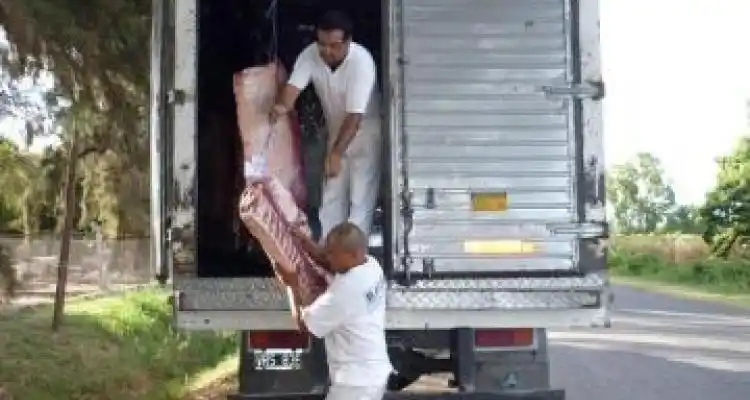Decomisan 200 kg. de carne que iban a un supermercado
