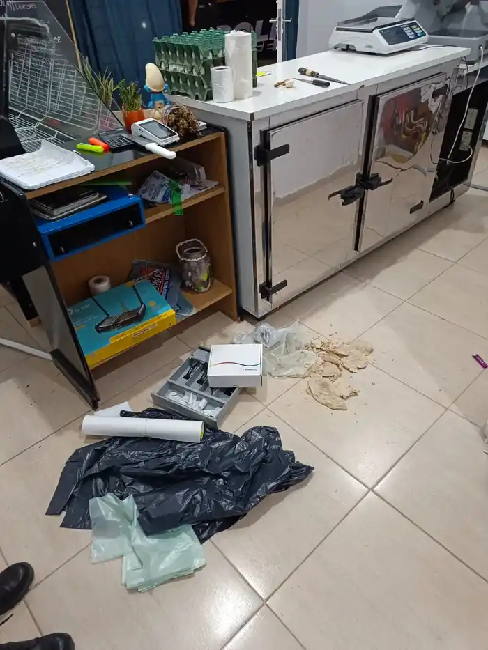 robo la polly del norte - 2