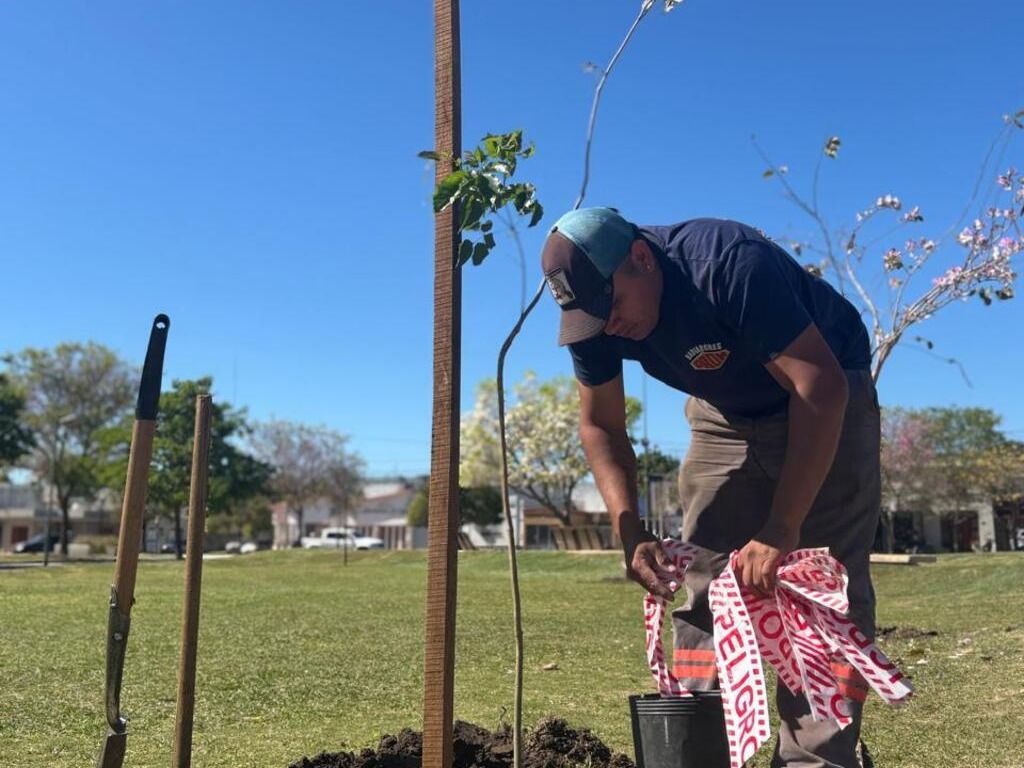 Durante el año se plantaron 1625 árboles
