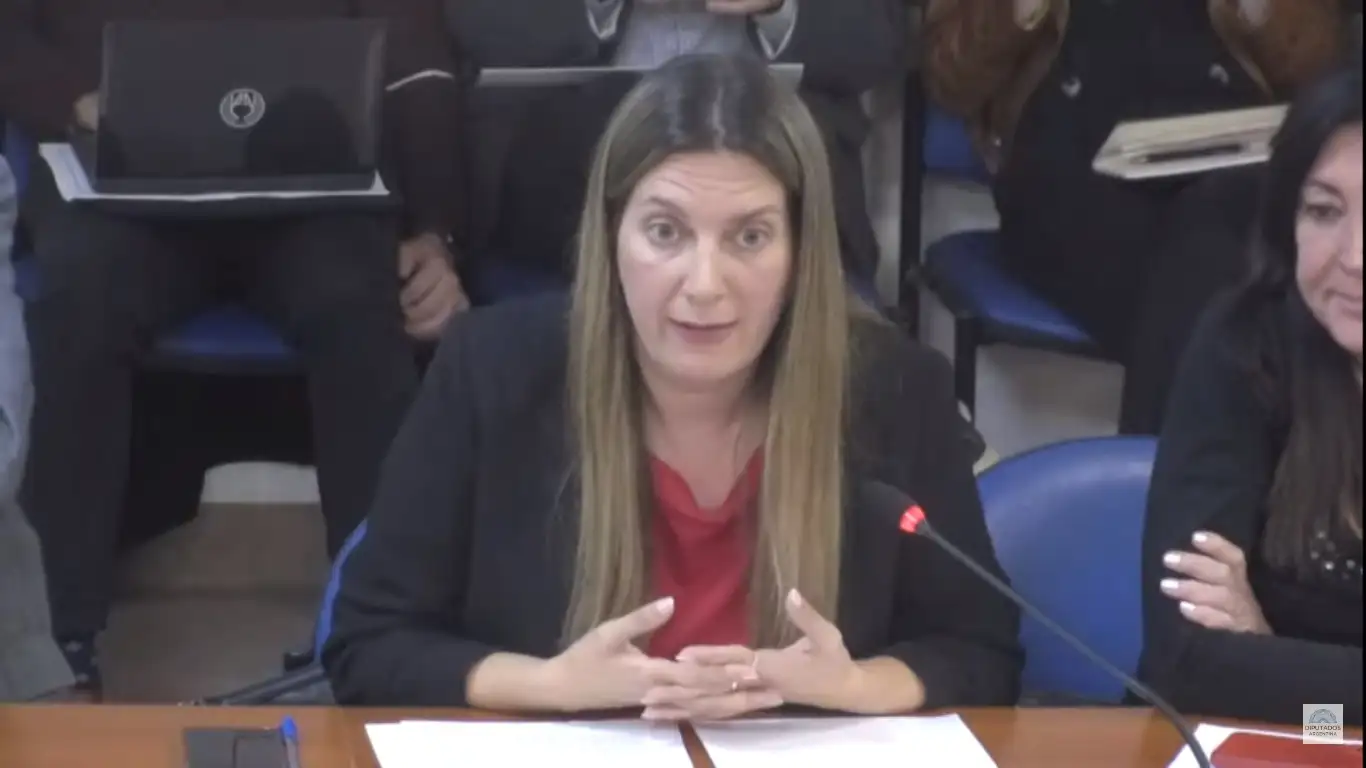 Diputados continúa avanzando en el presupuesto 2023