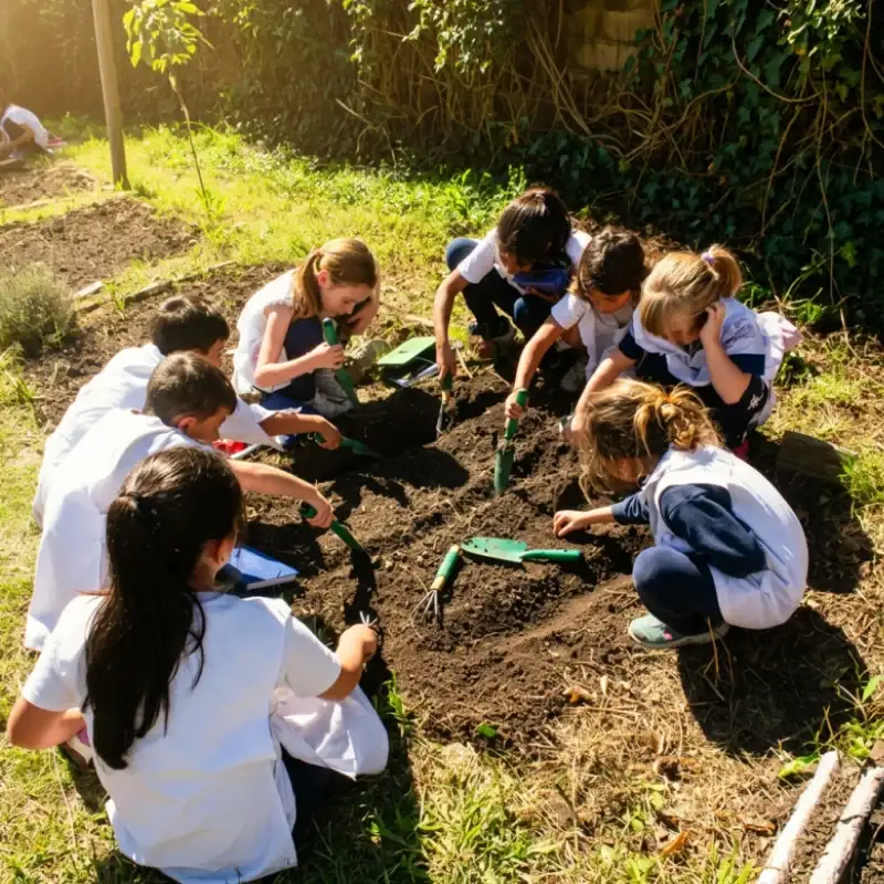 La educación que vuelve a lo esencial en las sierras de Tandil