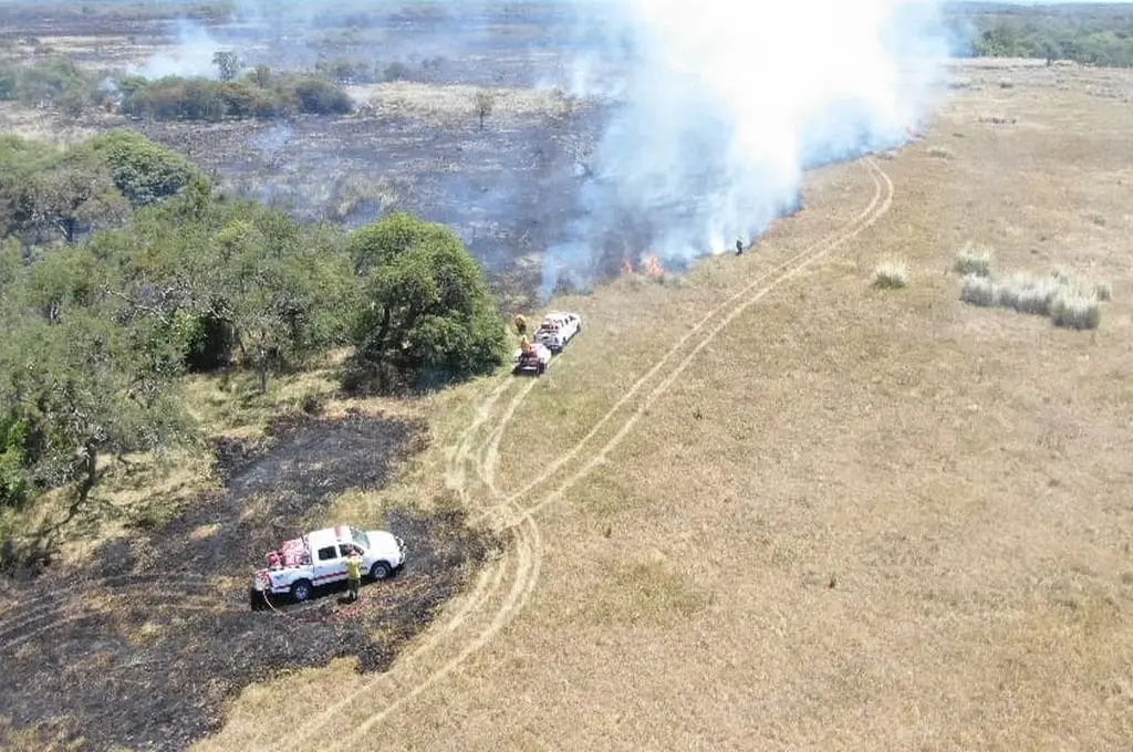 Bajo un clima de altas temperaturas y baja humedad, los brigadistas han redoblado esfuerzos para evitar la propagación del fuego que afecta a diversos predios rurales. Foto: Gentileza