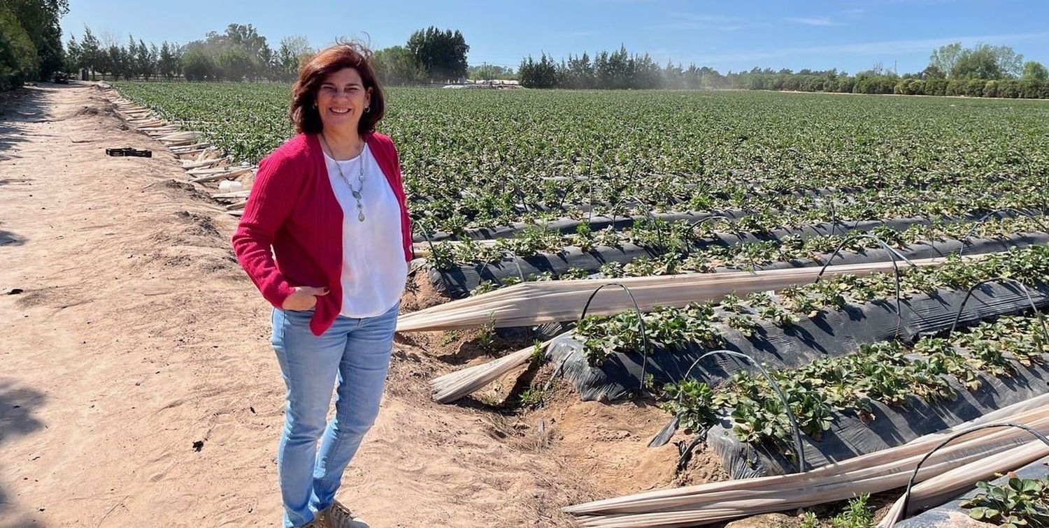 La empresa orienta sus productos al cuidado de la salud y el medio ambiente; pero sin dejar de lado la autenticidad y la excelente calidad. Foto: Gentileza